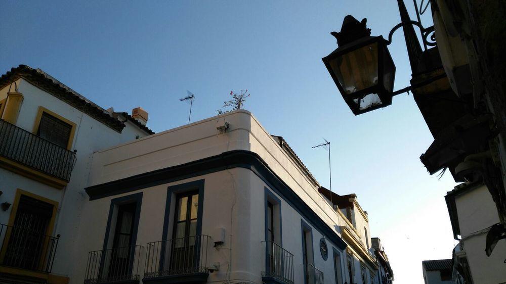 Hostal Azahar Córdoba Exterior foto